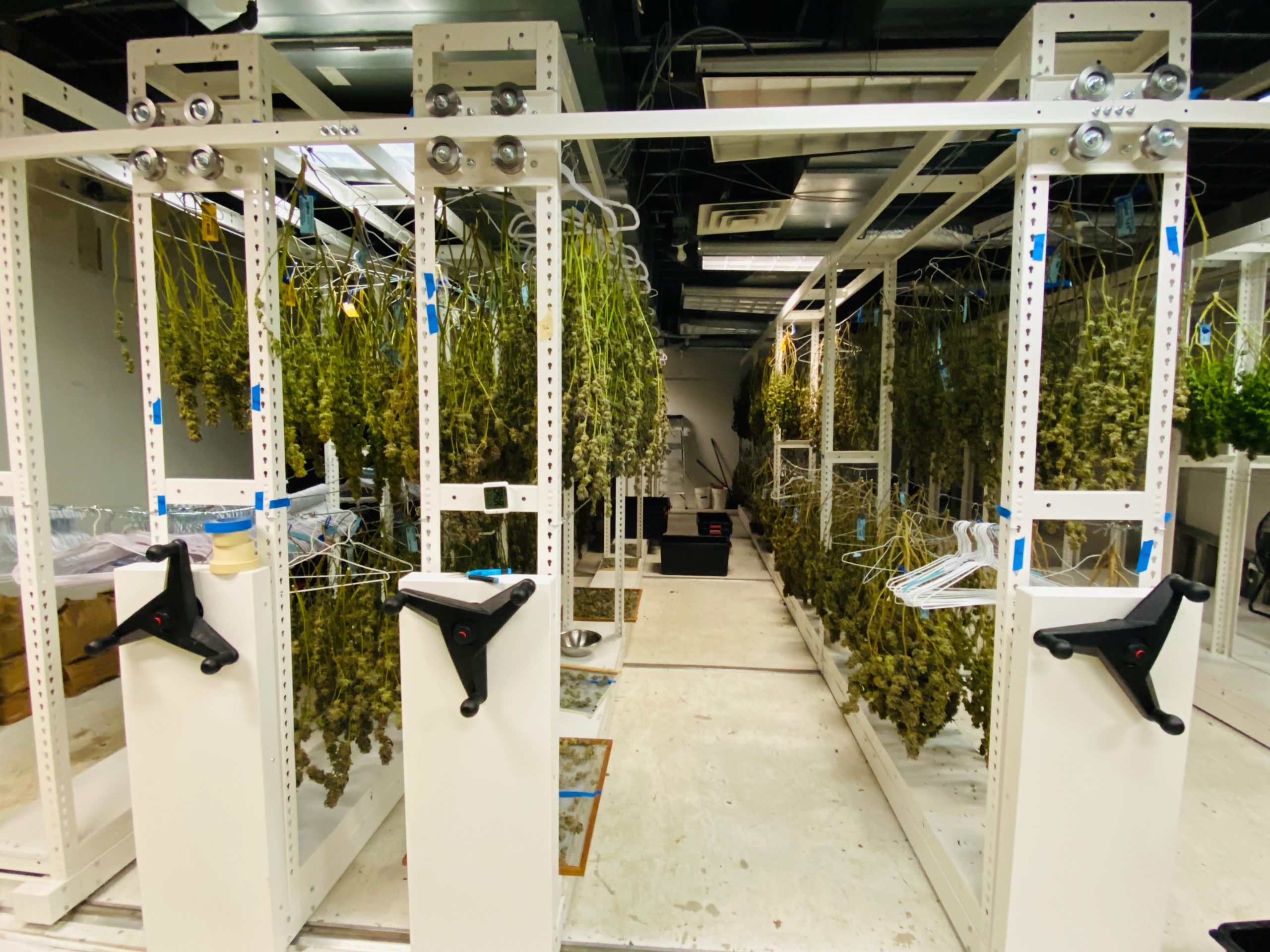 Brighterside Design Drying Racks for cannabis industry