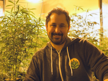 Frank Haughton experienced cannabis consultant