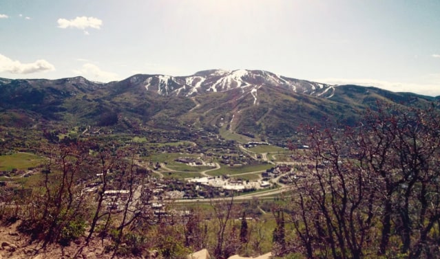 Contact Brighterside Vertical Farms in Steamboat Springs
